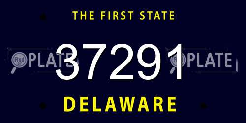 37291 Delaware License Plate