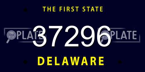 37296 Delaware License Plate