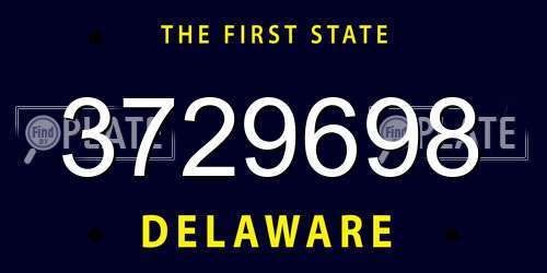 3729698 Delaware License Plate