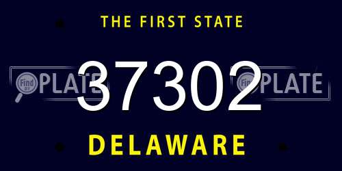 37302 Delaware License Plate