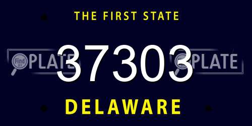 37303 Delaware License Plate