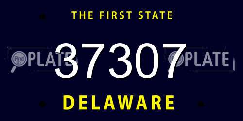 37307 Delaware License Plate