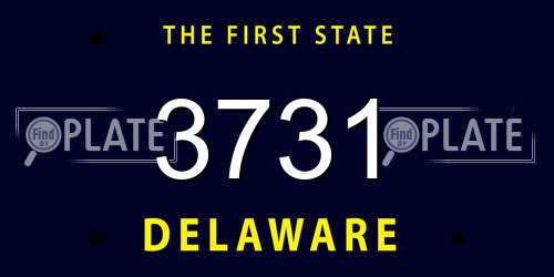 3731 Delaware License Plate