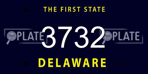 3732 Delaware License Plate