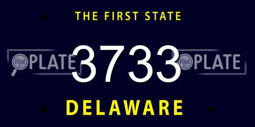 3733 Delaware License Plate