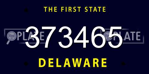373465 Delaware License Plate