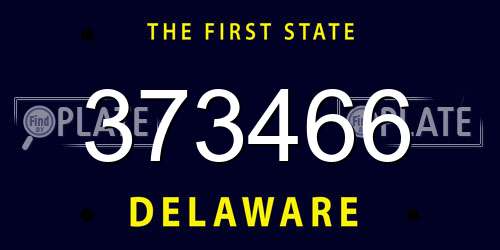 373466 Delaware License Plate