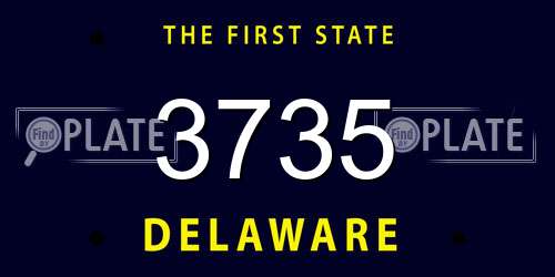 3735 Delaware License Plate