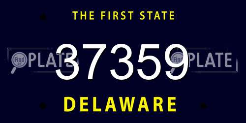 37359 Delaware License Plate