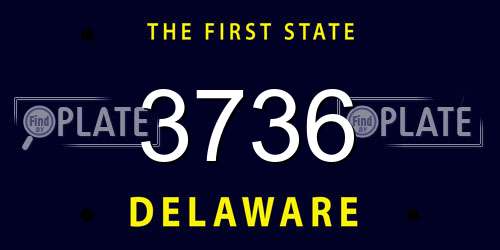 3736 Delaware License Plate