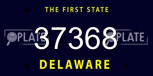 37368 Delaware License Plate