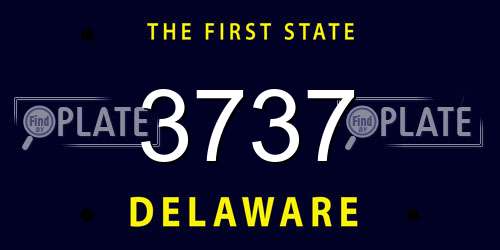 3737 Delaware License Plate