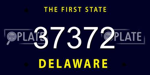 37372 Delaware License Plate