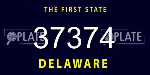 37374 Delaware License Plate