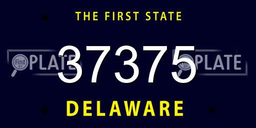 37375 Delaware License Plate