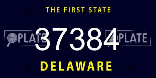 37384 Delaware License Plate