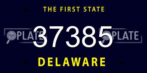 37385 Delaware License Plate