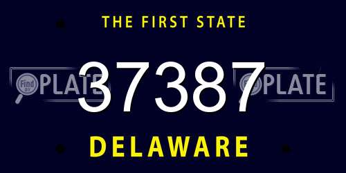37387 Delaware License Plate