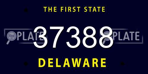 37388 Delaware License Plate