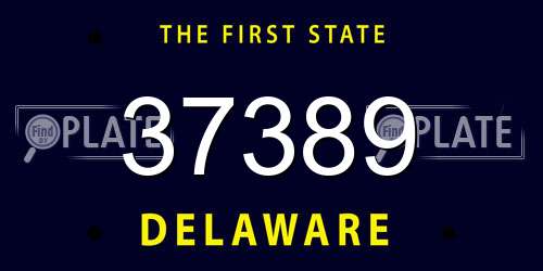 37389 Delaware License Plate