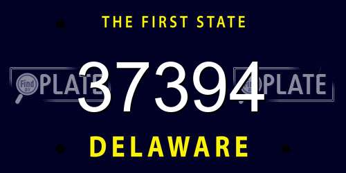 37394 Delaware License Plate