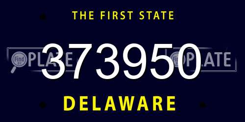 373950 Delaware License Plate