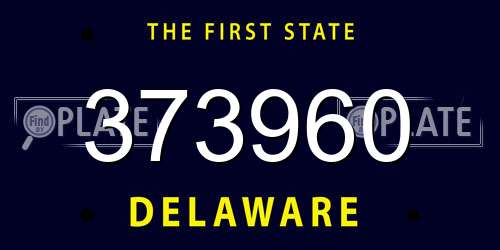 373960 Delaware License Plate