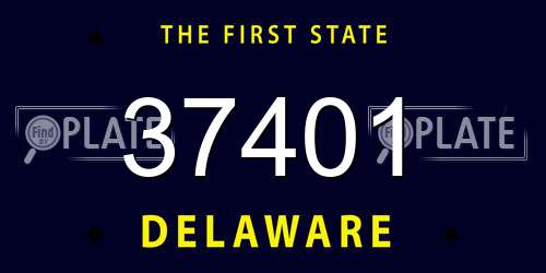 37401 Delaware License Plate