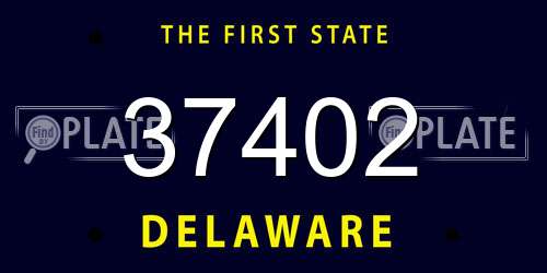 37402 Delaware License Plate