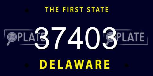 37403 Delaware License Plate