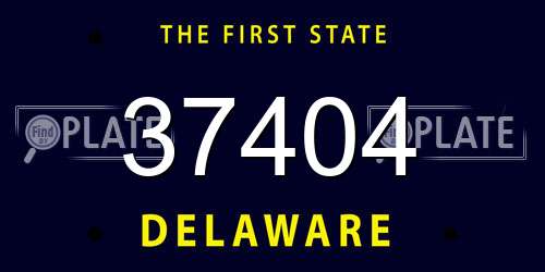 37404 Delaware License Plate