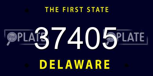 37405 Delaware License Plate
