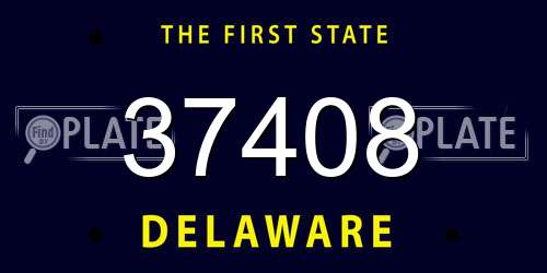 37408 Delaware License Plate