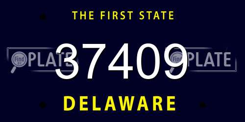 37409 Delaware License Plate