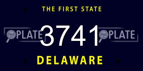 3741 Delaware License Plate