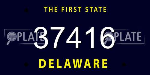37416 Delaware License Plate