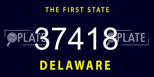 37418 Delaware License Plate