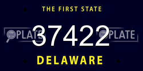 37422 Delaware License Plate