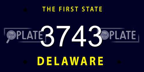 3743 Delaware License Plate