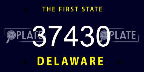 37430 Delaware License Plate