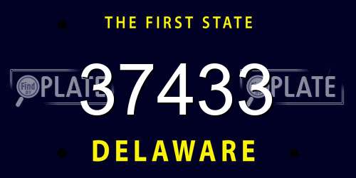 37433 Delaware License Plate