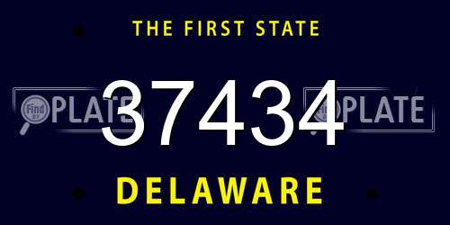 37434 Delaware License Plate