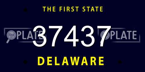 37437 Delaware License Plate
