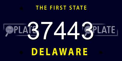 37443 Delaware License Plate
