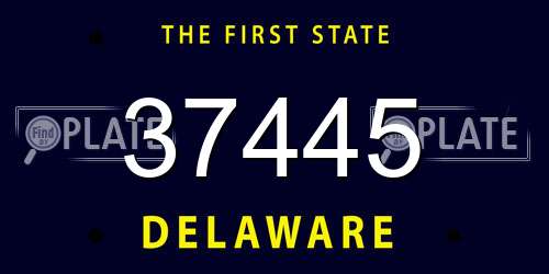 37445 Delaware License Plate