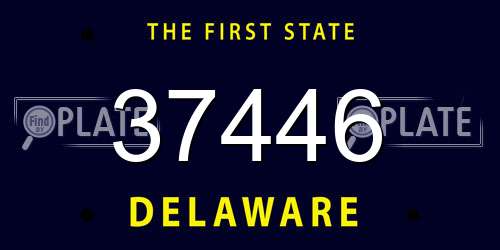 37446 Delaware License Plate