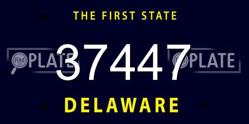 37447 Delaware License Plate