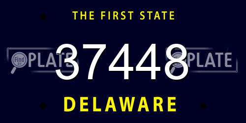 37448 Delaware License Plate