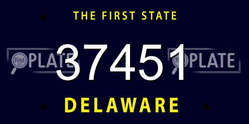 37451 Delaware License Plate