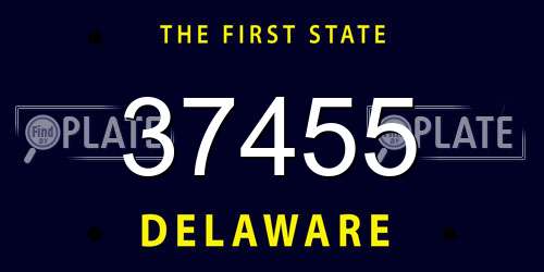 37455 Delaware License Plate